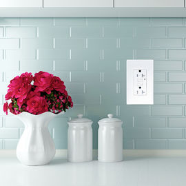 LD -U001 4.2A Smart High Speed USB Charger Outlet 2 Port USB Dengan 2 Piring Dinding