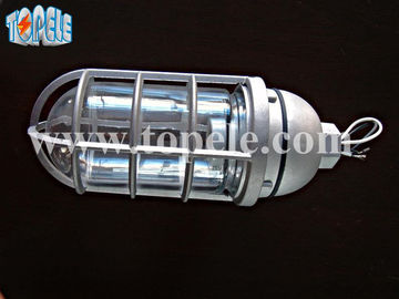100W 220V Brown Gray IP65 Lampu Besi Proof Die - Cast Aluminium